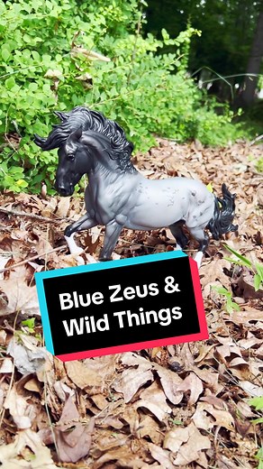 Breyer Model Horses on TikTok