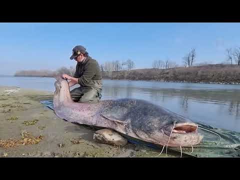 50 Incredible Fishing Moments Caught On Camera!