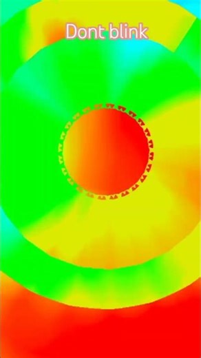 🐅🐅🐅🐕🐕🐕