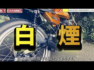【250SS】初期型なのにWディスク？マッハカスタム紹介！