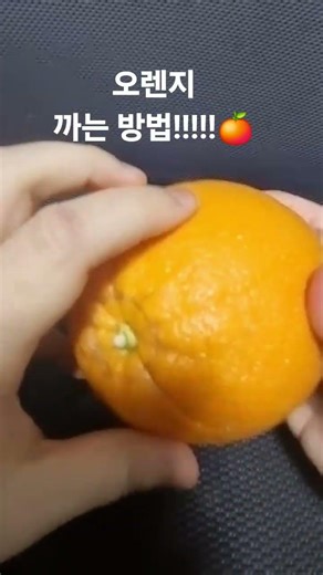 오렌지까기16년차 장인 오렌지까기 일타강사의 오렌지까는법강의영상#오렌지
