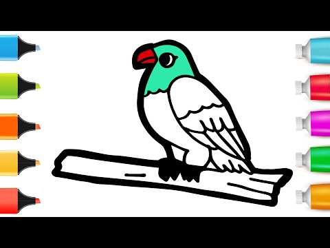 How to Draw a Cute Bird | Easy Step by Step Tutorial