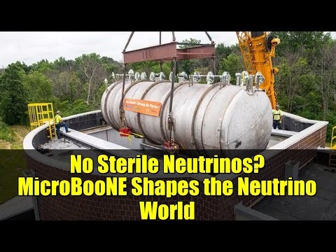 No Sterile Neutrinos? MicroBooNE Shapes the Neutrino World