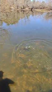 how to catch bedding bass The Gripping Lips way