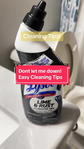 Cleaning Tip of the day! Toilet Scrub using Lysol Lime and Rust and Dry wall screen 220! #crazycleaninglady222 #cleaningtiktok #cleaningtok #cleaningtips #lifehack #easydiy #diycleaning