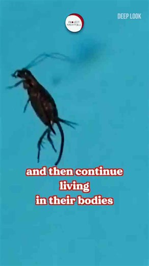 Confirmed Zombies are real