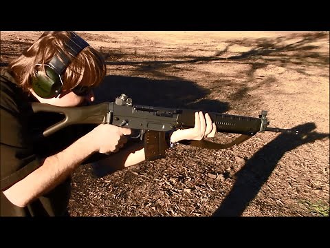 Swiss SIG SG550 551 553 Family Review
