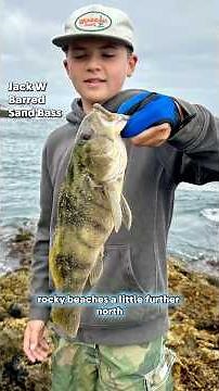 April SoCal Surf Fishing Report Update 1 - Big Bass Brace and Spotfin! Baits, lures and tides.