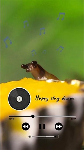Happy slug dance - The official music #slugs #snail #cuteanimals