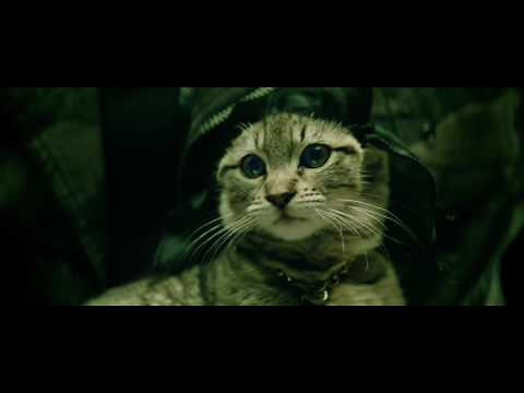 Salute to the matrix Keanu Reeves plays Keanu cat