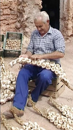 🧄☀️ Trenzando AJOS como hacían nuestros ABUELOS: RISTRAS tradicionales A MANO