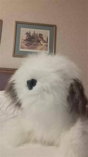 what was that? 🐶🤔 #puppetsoftiktok #dogsoftiktok #puppeteer #maxthesheepdog