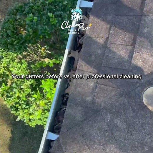 Gutter Cleaning Before & After | Remove Leaves & Restore Water Flow