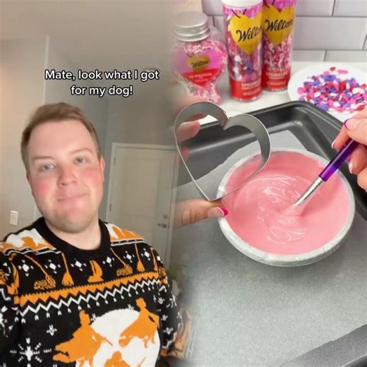 Hocus Pocus Winifred Dog Costume! #disney #hocuspocus #mrthomasenglish