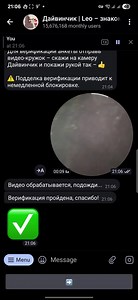 Как пройти верификацию в Дайвинчике: кружок и возраст