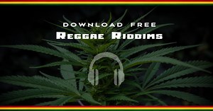 Free Reggae Beats & Instumentals | SoulFyah Productions
