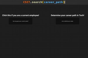 CSIT.search(career_path)