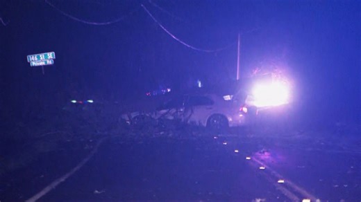 Victim of Monroe tree crash identified as 25-year-old female