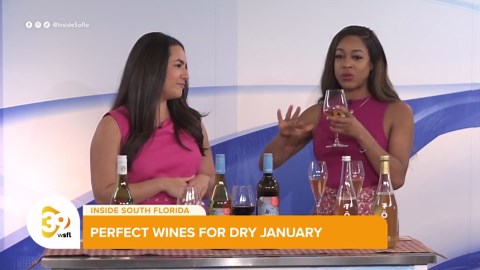 Understanding Non-Alcoholic Wine: How It’s Made and Why It’s Unique