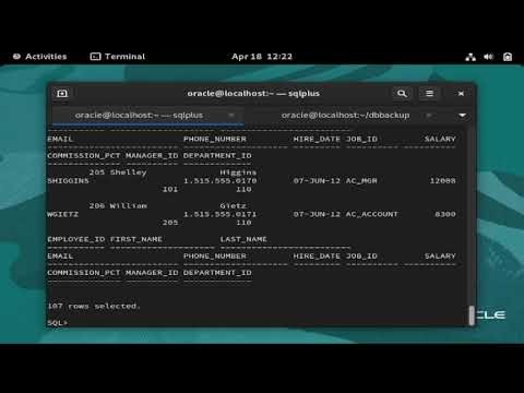 How to Take Table Backup in Oracle using EXPDP & Restore using IMPDP Full Guide