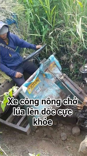 Xe công nông chở lúa lên dốc cực khỏe #shorts