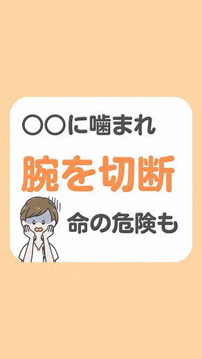 パスツレラ症について知っておくべきこと