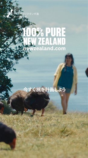 鳥たちの歌声に包まれ、さまざまな野生動物と出会えるティリティリ・マタンギ島。オークランドからフェリーですぐの楽園です。 | 100% Pure New Zealand