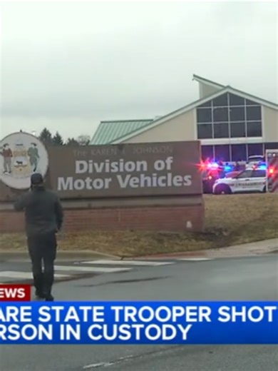 Delaware DMV Active Shooter Incident Report