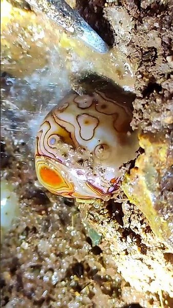 Crystal hunting in forgotten mines: The ultimate guide。Rainbow Beach's Crystal Secrets
