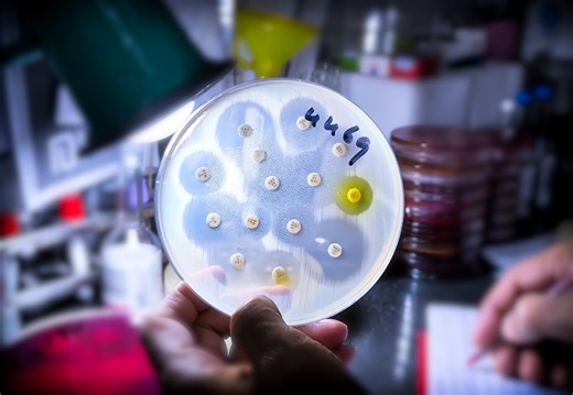 How Soil Bacteria Could Help Solve Antibiotic Resistance