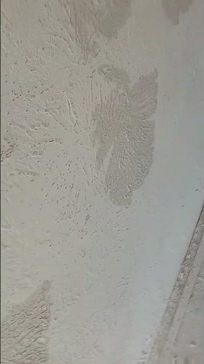 Crows foot slap brushed wall texture hyper lapsed