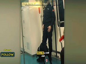 Police dogs 🐕 #funny #usa #viral #camera #police