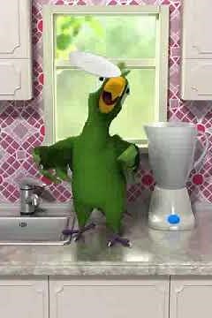 Talking pierre (loro)