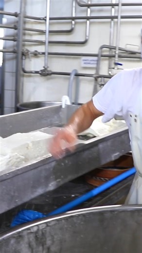 🧀 If you ever wanted to see how 9 tons of mozzarella is born, peek into this Italian tradition. #cheese #italy #cheeselovers #mozzarella | Insider Food