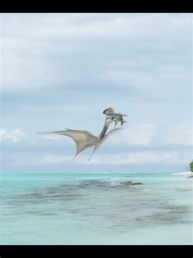 Hatzegopteryx was one of the largest pterosaurs of the Late Cretaceous, living on Hațeg Island in what is now Romania. With a wingspan estimated at 10 to 12 meters, it was likely one of the apex predators in its ecosystem, capable of hunting relatively large terrestrial prey. Although no direct fossil evidence preserves its mating behavior, pterosaurs may have used visual signals or vocalizations during courtship. Large azhdarchids such as Hatzegopteryx likely nested on the ground, laying eggs i