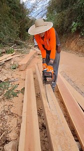 1.6K views · 22K reactions | Veja o controle com motosserra 585xp na mão #operadordemotossera #motosserra #chainsaw #husqvarna #madeira #eucalipto | Serrando C Irmaos Lopes | Facebook