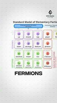 Instruction Manual of our Universe: Standard Model Explained
