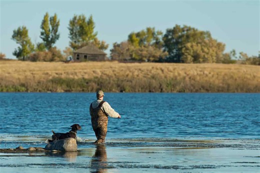 The 7 best states for duck hunting in America