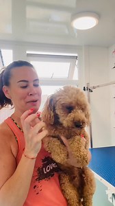 71K views · 511 reactions |  “Mummy said I could do his ears all...