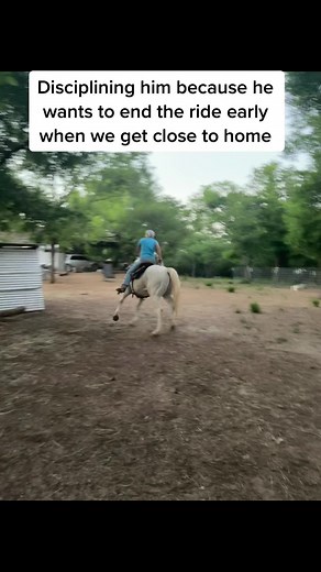 TexasHorseGirl on TikTok