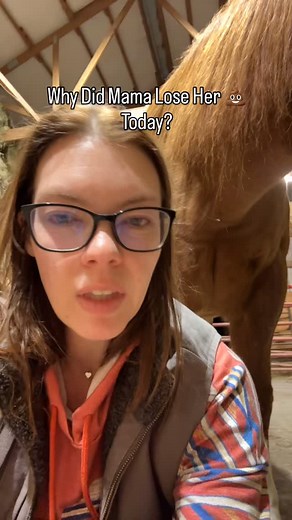 19 reactions · 6 comments | Season 2 Episode 270: Why Did Mama Lose Her  Today? #mama #mamagirl #unicorn #whydidmamalosehershittoday | Callan Selix | Facebook