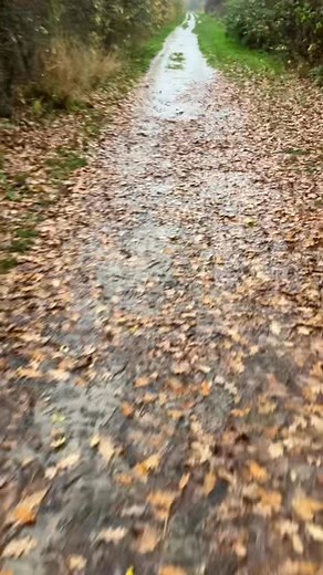 The Countryside Park near the train line is a little wet😳 | Brundall parkrun