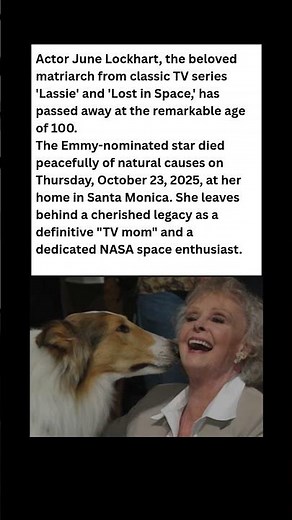 Lassie's Mom & Lost in Space Star Dies at 100! 🥲 June Lockhart's Legacy #celebrity #news #shorts