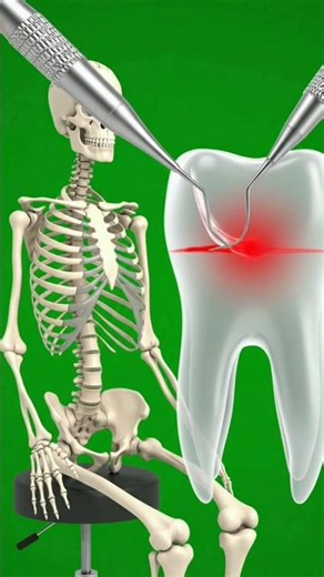 What Happens When a Tooth Breaks? #shorts #facts #biology #viral