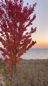 This song is THE  Fall anthem! Anyone agree? As it starts to get...