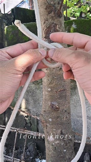 Simple knot. Ep.22 ( the rabbit ) #everyoneシ゚ #fblifestyle #reelsfypシ #foryouシ #fbreels #reelsfbシ #fb #handmade #reelsfb #tips #reelsvideoシ #howto #camping #diy #knot #rope #tutorial | Iconic Knots