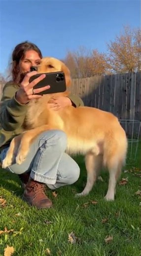 Dog's Adorable Interruption Wins Over Filming - No Background Music