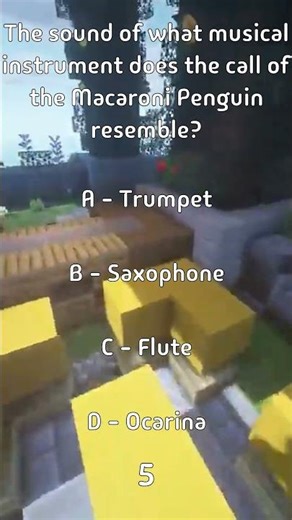 The sound of what musical instrument does the call of the Macaroni Penguin resemble?