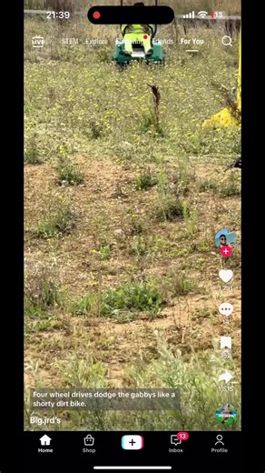 a1treecaregardenservices on TikTok