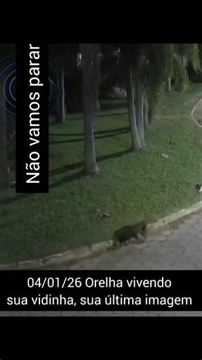 04/01/26 último registro de Orelha #investigaçãopolicial #documentariopolicial